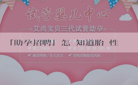 「助孕招聘」怎樣知道胎兒性別？孕酮看胎兒性別準嗎？