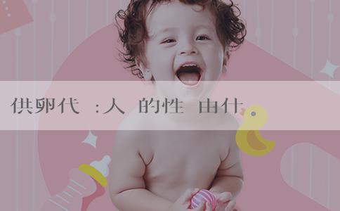 供卵代懷:人類的性別由什麼決定？﻿有沒有一定會生女孩的祕訣？